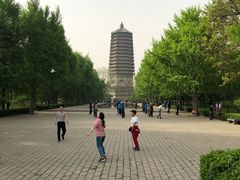 -玲珑塔公园