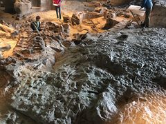 -自贡恐龙博物馆