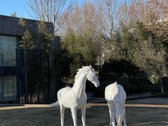 -春晖园度假酒店温泉