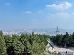 -原山国家森林公园