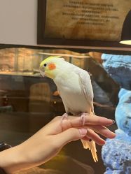 -Zoolung Zoolung动物主题公园(海信广场店)