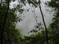 -黔灵山公园