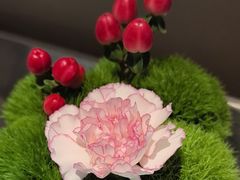 -眉州东坡(民族园店)