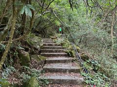 -姑婆山旅游区