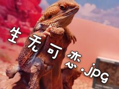 -正佳极地海洋世界