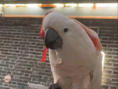 -四海楼(如皋定慧禅寺店)