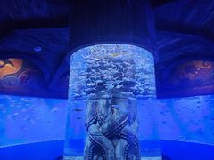 -哈尔滨波塞冬海底世界