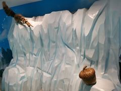 -曼谷杜莎夫人蜡像馆