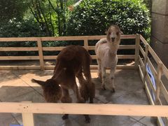 -郑州银基黄帝宫御温泉