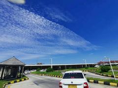 -胜华驾校·小猫学车(银都店)