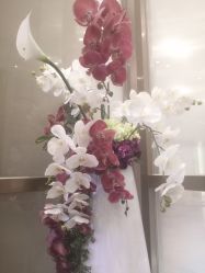 -成都艾特他整形外科医院