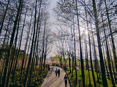 -大宁公园