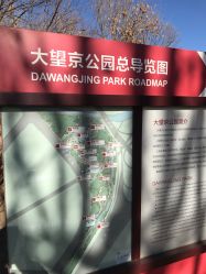 -大望京儿童游乐场