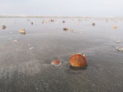 -江山半岛白浪滩景区