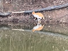 -七桥瓮公园