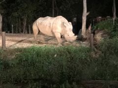 -清迈夜间动物园