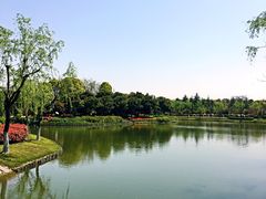 -上海鲜花港