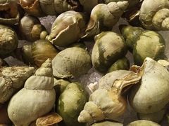 -太原富力万达文华酒店·美食汇西餐厅