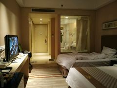 -电谷雅阁国际大酒店