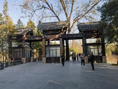 -溱湖国家湿地公园