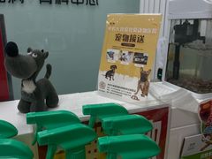 -中农大我爱我爱动物医院·核磁CT·猫病·24小时夜诊中心(石佛营店)