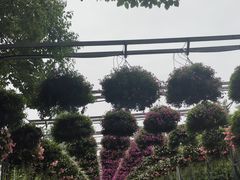 -上海佘山国家森林公园天马山园