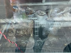 -老北京胡同味道二荤铺(酒仙桥店)