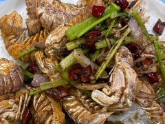 带膏皮皮虾-威海渔村(黄兴路店)