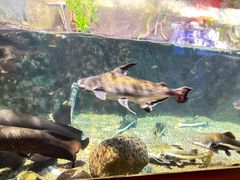 -太平洋海底世界