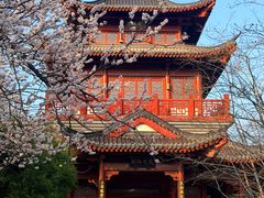 -堤角公园