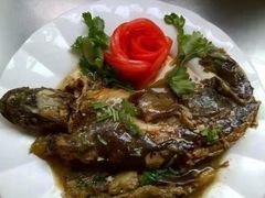 -爱月宝月嫂·育儿嫂(哈尔滨总店)