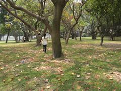 -筼筜书院