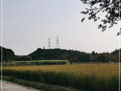 -八卦田遗址公园