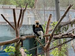 -济南野生动物世界