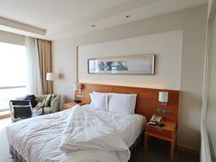 -上海浦东康桥绿地假日酒店