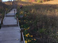 -长白山万达喜来登度假酒店