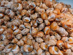 -圣罗巴海鲜烤肉自助(佳兆业店)