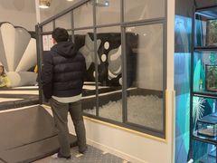 -FAIRYLAND龙族星球主题餐厅(凯丹广场店)