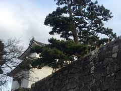 -名古屋城