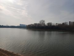 -沙澧河风景区