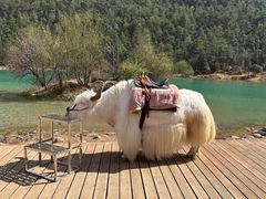 -玉龙雪山蓝月谷