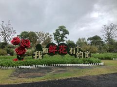 -南通鲜花小镇