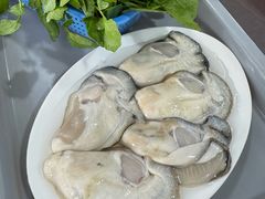 -濠轩阁特色生蚝火锅总店