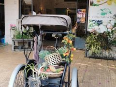 -Fresh Fruit Factory - Fruit Cuisine Restaurant