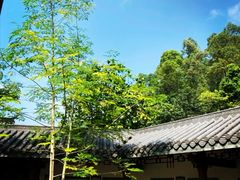 -广州神农草堂中医药博物馆