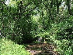 -杭州植物园