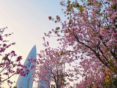 -深圳人才公园