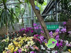 -南山植物园