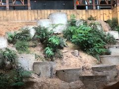 -天怡·鱼工厂(梅溪湖店)