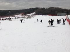 -东北亚滑雪场